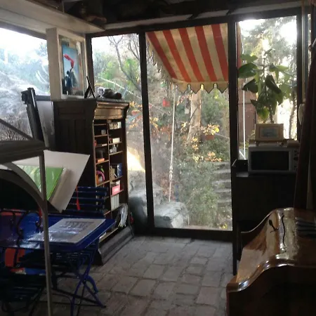 The Botanic