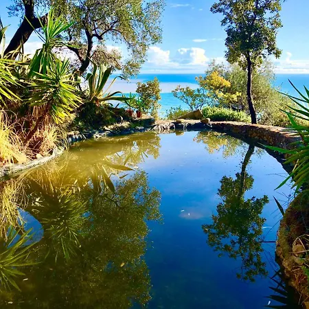The Botanic